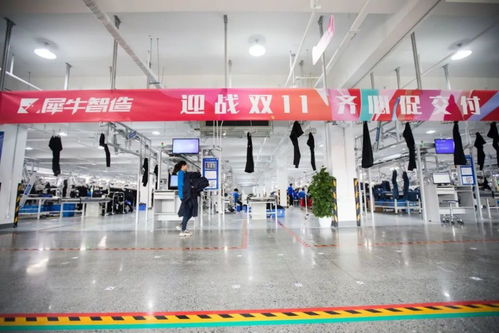 双11新制造实验 这些商家,最懂得如何抓住两波爆发机会