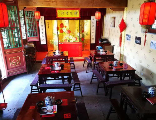 崇文街 曲艺正式开场