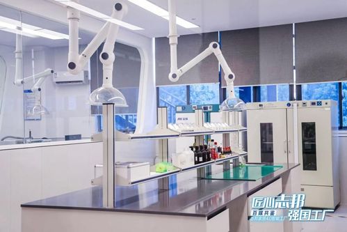 志邦家居 志 慧赋能 共探定制家居新未来